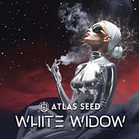 White Widow Auto Feminized Seeds 2 Why Grow White Widow Auto Feminized Seeds kinnabis